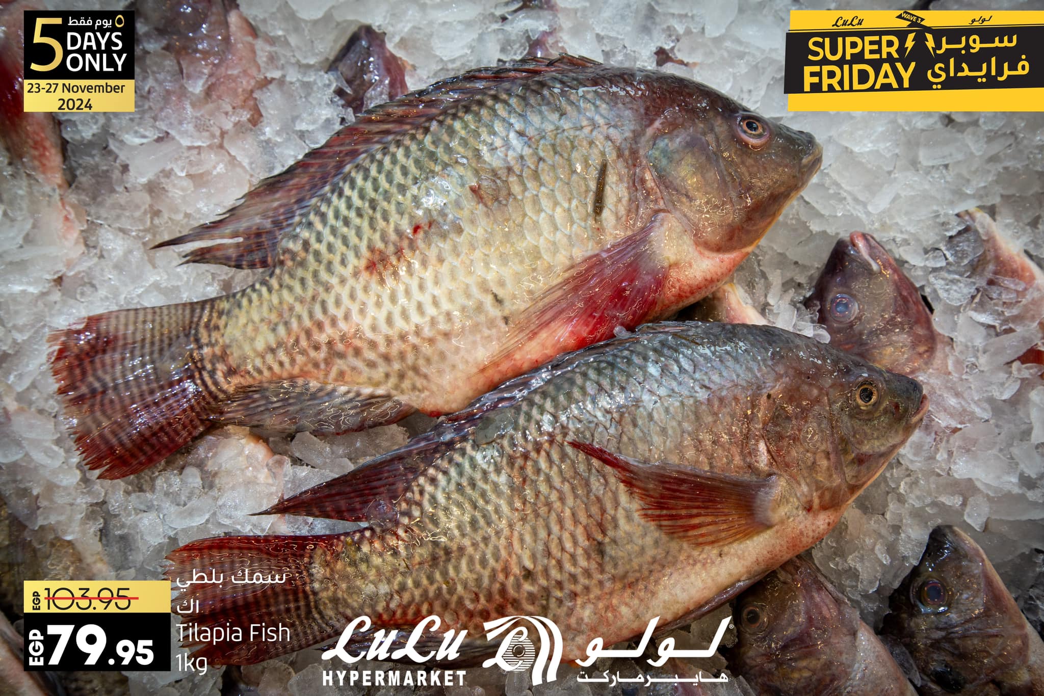 lulu-hypermarket offers from 23nov to 25nov 2024 عروض لولو هايبر ماركت من 23 نوفمبر حتى 25 نوفمبر 2024 صفحة رقم 5